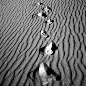 Serene Footprints A2 Canvas Print
