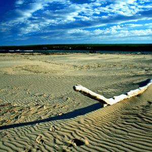 Serene Witsand Log A2 Canvas Print